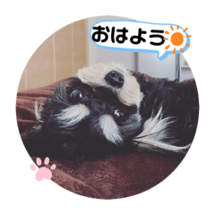 BB_20191015092019