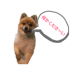 yama_20190930201059