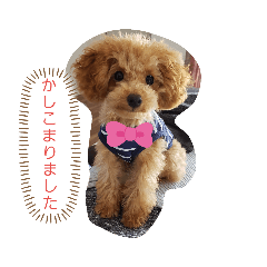 ARISA_20191002085625