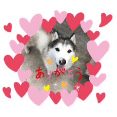 Eiko_20191009230410