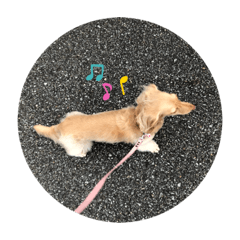 kurumi_20191015140133