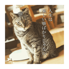 m3y...19830723...19830723