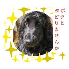 Mori_20190928180232