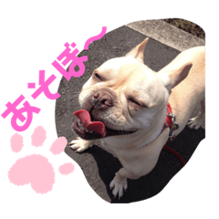 itsuki_20190926201532