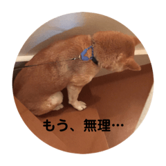 chi_20191015110528