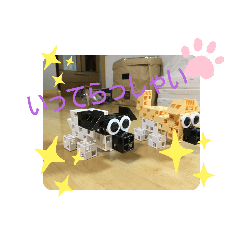Hana_20191015140555