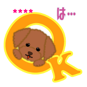 Custom(Toy-Poodle)