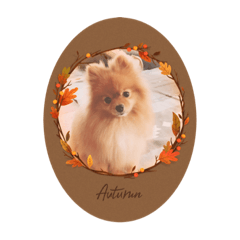 Pomeranian no mocochan_AKI stamps