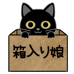 Black cat in a box 2