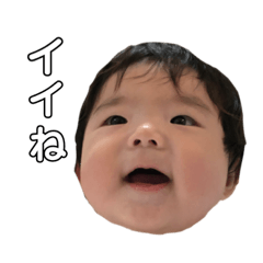 tanuki_20191001003450