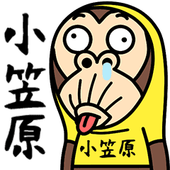 Ogasawara is a Funny Monkey
