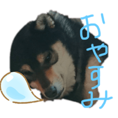 sak_20190924231109