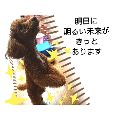 SHOUTA_20190926151226