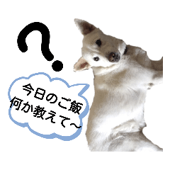 yun_20190925010333