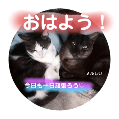 MINAKO_20190927215610