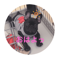 mizuki_20191014190316