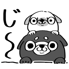 Pug Hi-chan and Ku-san
