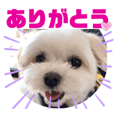 Chiharu_20191015132548