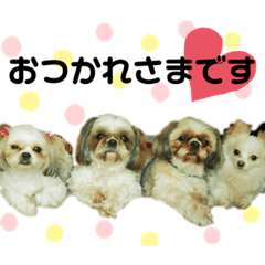 arisa_20191002112636