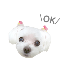 saya_20190927134738