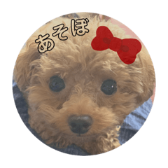moco_20190926214057