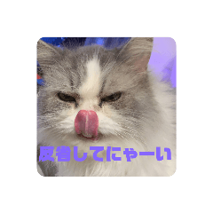 chipeko_20191015222729