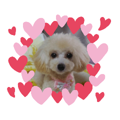 MARON_20191015074355