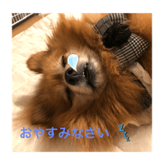 hanazo_20190924180508