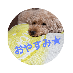 yuyu_20190929004322
