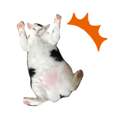 Miko_20190926222559
