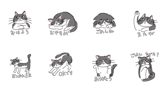 ぼく、ハチワレねこちゃん」LINEクリエイターズスタンプ