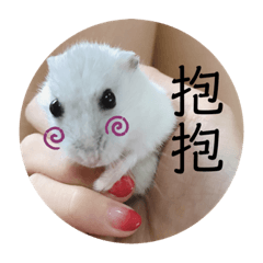 蛋白小公主❤️