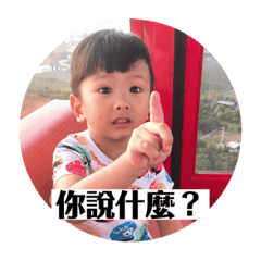 沈緯緯