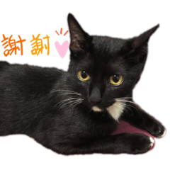 黑妞宅配