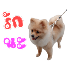 My name is xufu