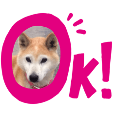 sayuri_20190928105425