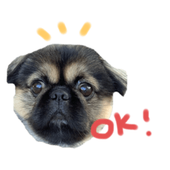 moko_20191001135727