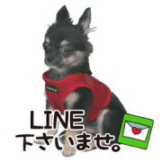 191013230002.1853LVu