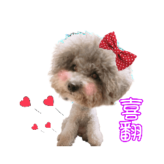 ❤Kitty❤小仙女