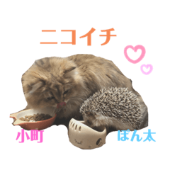 ayano_20190926173603