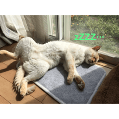 Hiroyuki_20190929144221