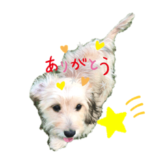 rina_20191016130059
