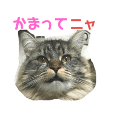 rei_20191016133829