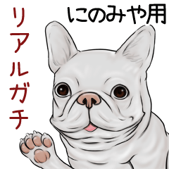 Ninomiya Real Gachi Pug & Bulldog