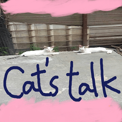 Two cats are chatting