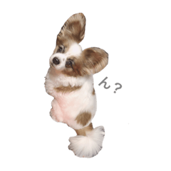 hana_20190927220908