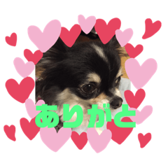 kuu_20191018