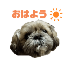 sora_stamp12