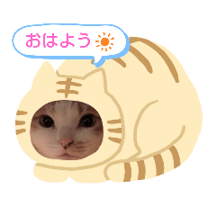 saya_20190911211732