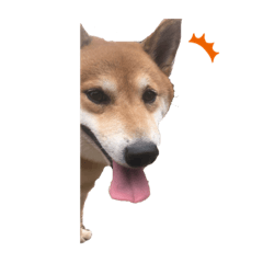 HONEY_20191001000509